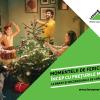 Leroy Merlin anunță o nouă ediție a Campaniei de Vânzare Sustenabilă a Brazilor de Crăciun, încurajând românii să returneze pomii naturali după Sărbători 