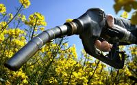 Biofuels - Energy Production from Renewable Resousces