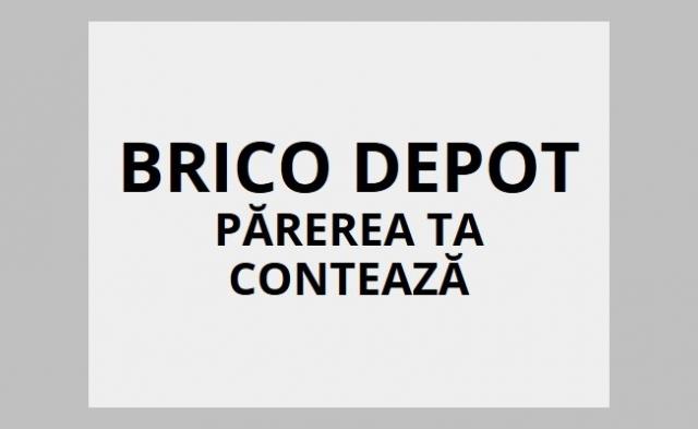 Chestionar Brico Depot 2019